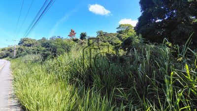 Terreno, 4 hectares - Foto 4