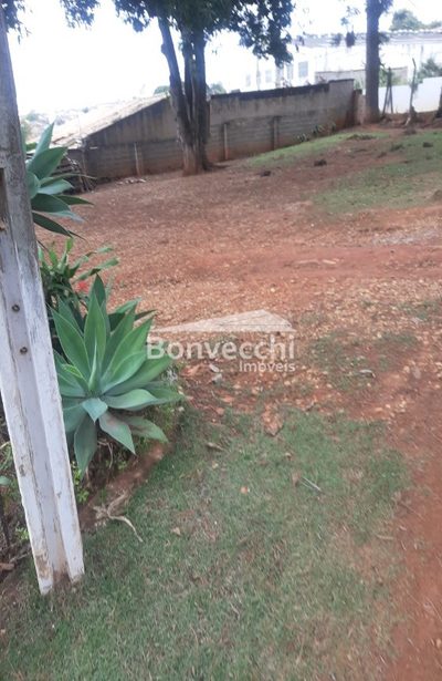 Sítio, 3 quartos, 7000 m² - Foto 2