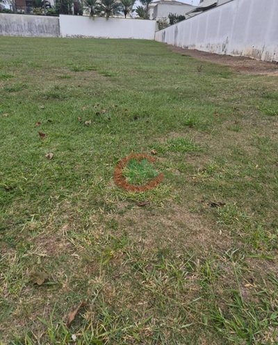 Loteamento e Condomínio, 416 m² - Foto 2