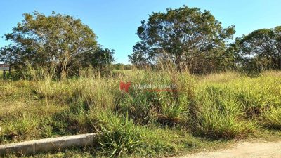 Terreno, 180 m² - Foto 3