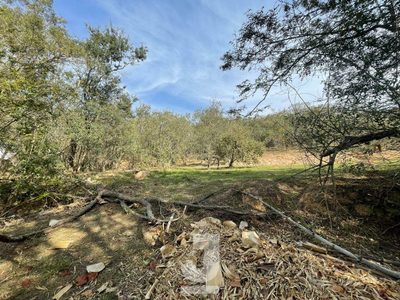 Terreno, 1521 m² - Foto 2