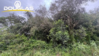 Terreno - Foto 2