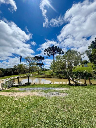 Sítio, 2 quartos, 8 hectares - Foto 4