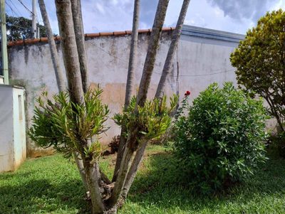 Chácara, 3 quartos, 500 m² - Foto 3