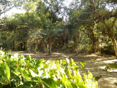 Terreno, 1 hectares - Foto 5