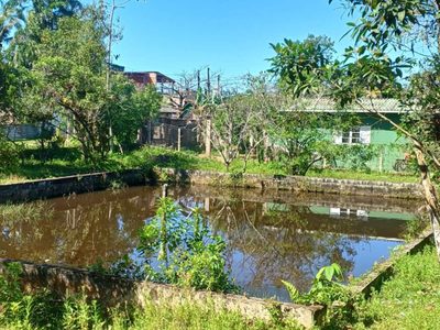 Fazenda, 4343 m² - Foto 4