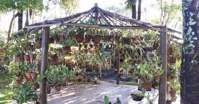 Casa, 6 quartos, 795 m² - Foto 3