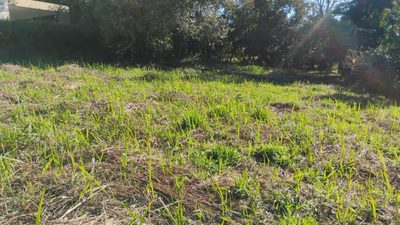Terreno, 1180 m² - Foto 5