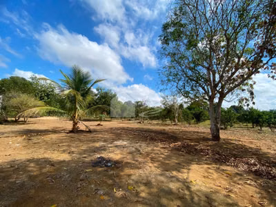 Chácara, 5 quartos, 1 hectares - Foto 2