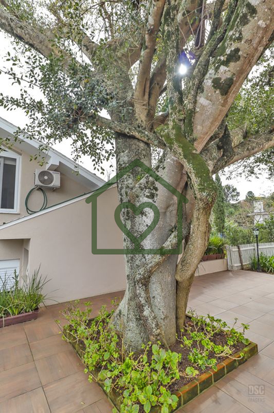 Casa, 4 quartos, 455 m² - Foto 5