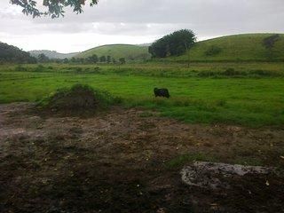 Fazenda, 140 m² - Foto 5