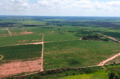 Fazenda, 1157 hectares - Foto 3