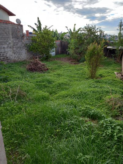 Terreno - Foto 3