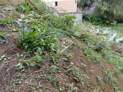 Terreno, 372 m² - Foto 3