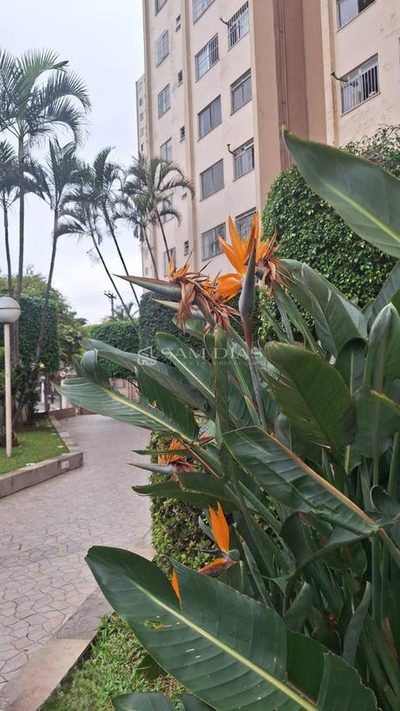 Apartamento, 2 quartos, 50 m² - Foto 3