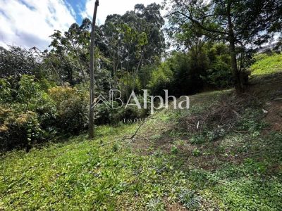 Terreno, 1181 m² - Foto 3