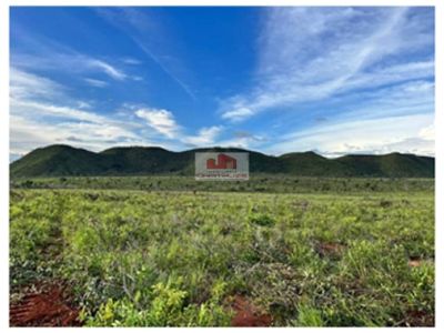 Fazenda, 2 hectares - Foto 4