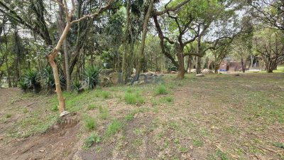 Terreno, 6272 m² - Foto 4