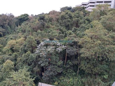 Apartamento, 2 quartos, 46 m² - Foto 4