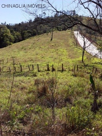 Sítio, 5 quartos, 3 hectares - Foto 5