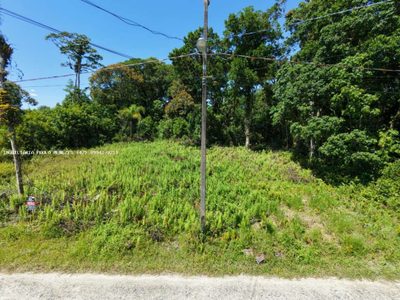 Terreno, 393 m² - Foto 5