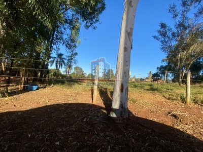 Terreno, 12 hectares - Foto 3