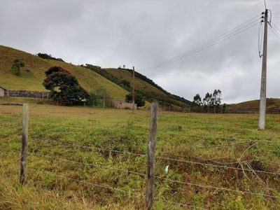 Fazenda, 46 hectares - Foto 4