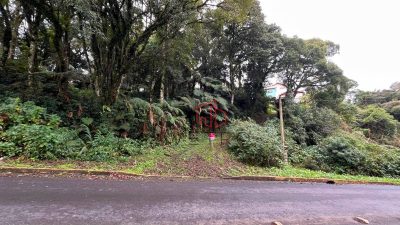 Terreno, 665 m² - Foto 5