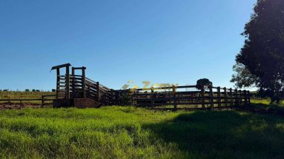 Sítio, 61 hectares - Foto 4