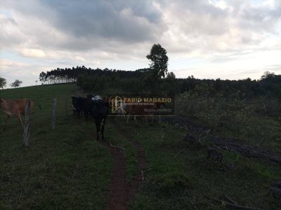 Terreno, 3 m² - Foto 5
