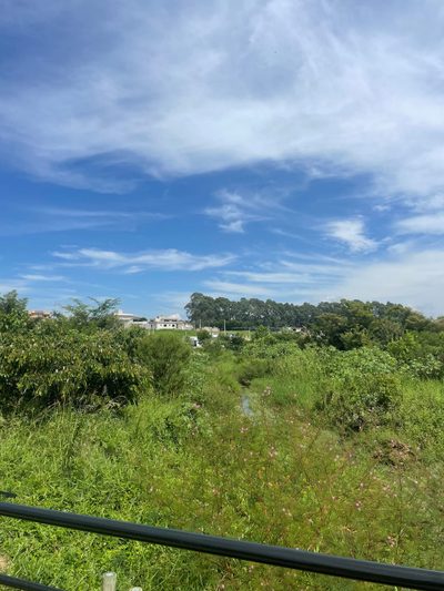 Terreno, 254 m² - Foto 4
