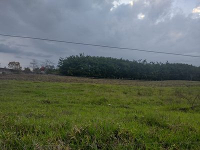 Terreno, 1000 m² - Foto 1