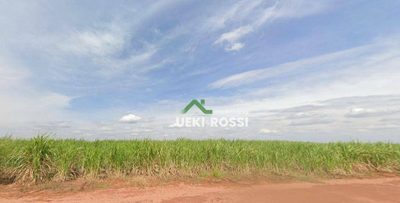 Fazenda, 702 hectares - Foto 4