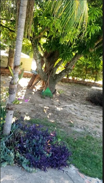 Fazenda, 3 quartos - Foto 4