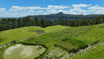 Sítio, 2 quartos, 30 hectares - Foto 5