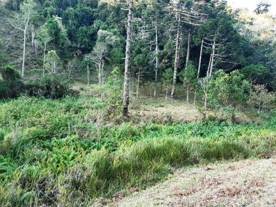Terreno, 17 hectares - Foto 4