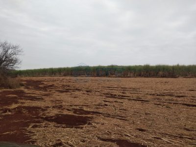Fazenda - Foto 5