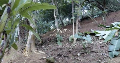 Terreno, 3 hectares - Foto 3