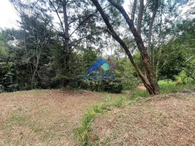 Terreno, 5000 m² - Foto 3