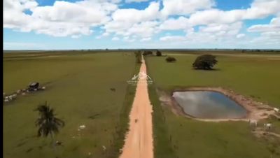 Fazenda, 532 hectares - Foto 3