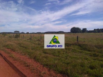 Fazenda, 16940 hectares - Foto 4