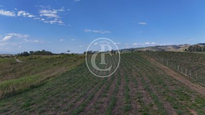 Fazenda, 84 m² - Foto 3