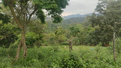 Terreno, 1000 m² - Foto 5