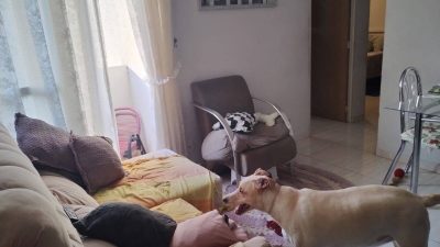 Apartamento, 2 quartos, 55 m² - Foto 2