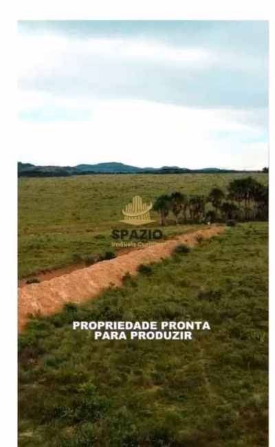 Fazenda, 1940 m² - Foto 4