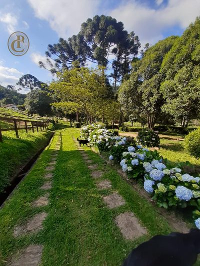 Fazenda, 5 m² - Foto 4