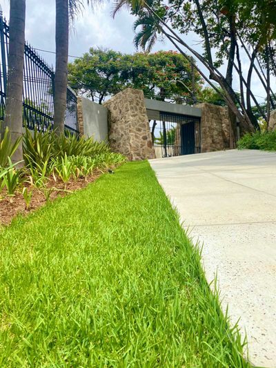 Casa, 4 quartos, 809 m² - Foto 3
