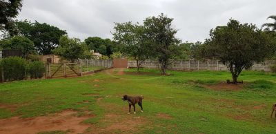 Chácara, 3 quartos - Foto 3