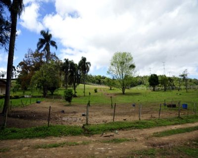 Sítio - Foto 5