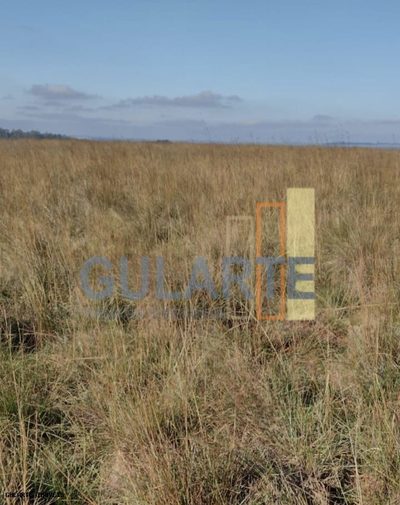 Chácara, 446 hectares - Foto 3